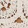 Dolan Left Coast Cotton Lace Flutter Sleeve Top